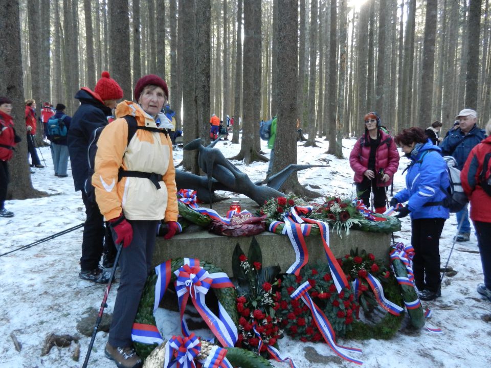 20120114 Osankarica - foto povečava