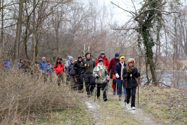 20120129 Mokrišča - foto