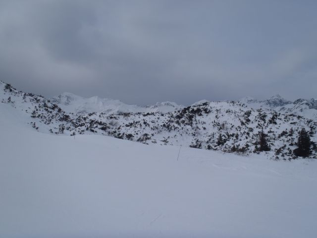 20120130 Vogel-okolica,Savica - foto