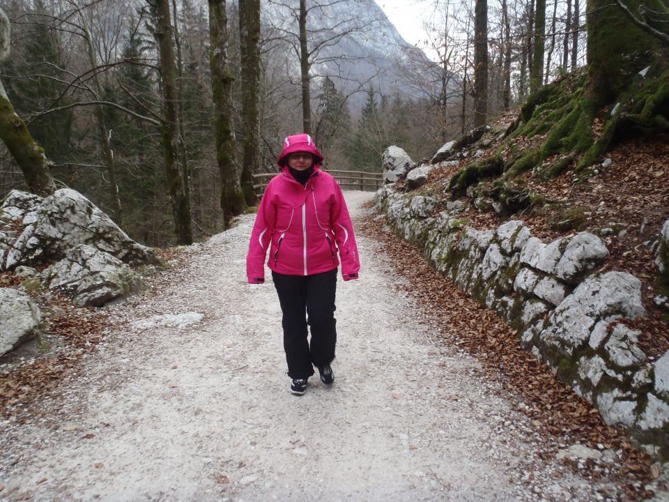 20120130 Vogel-okolica,Savica - foto povečava