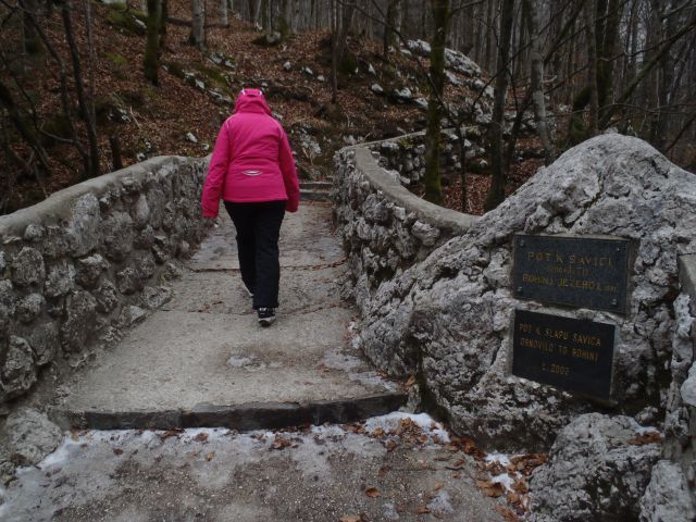 20120130 Vogel-okolica,Savica - foto