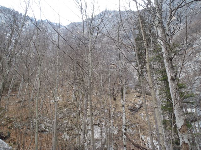 20120130 Vogel-okolica,Savica - foto