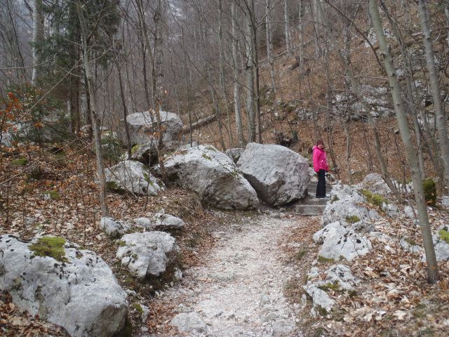 20120130 Vogel-okolica,Savica - foto