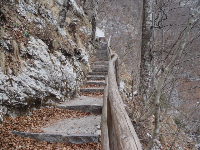 20120130 Vogel-okolica,Savica - foto