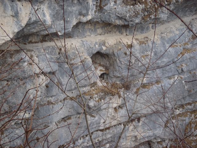 20120130 Vogel-okolica,Savica - foto