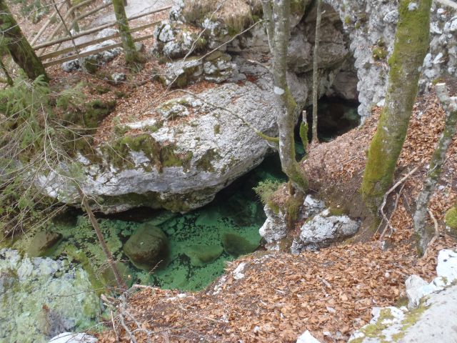 20120130 Vogel-okolica,Savica - foto