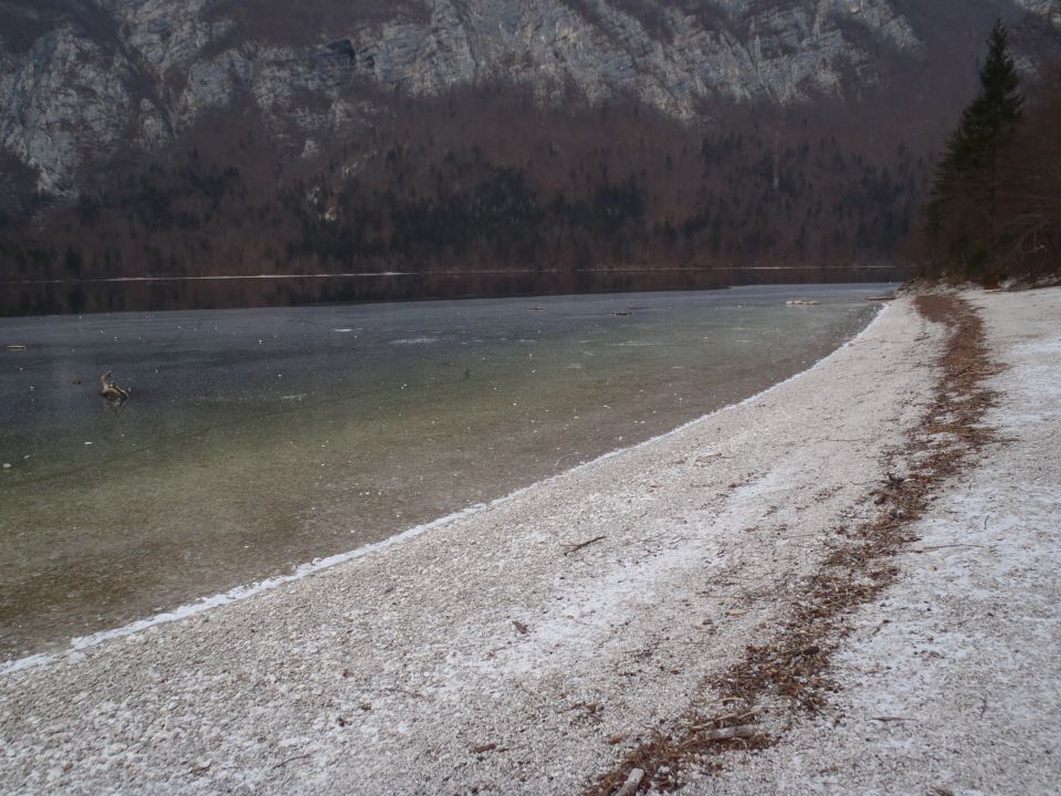 20120130 Vogel-okolica,Savica - foto povečava