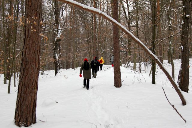 20120212 Valentinov pohod - foto