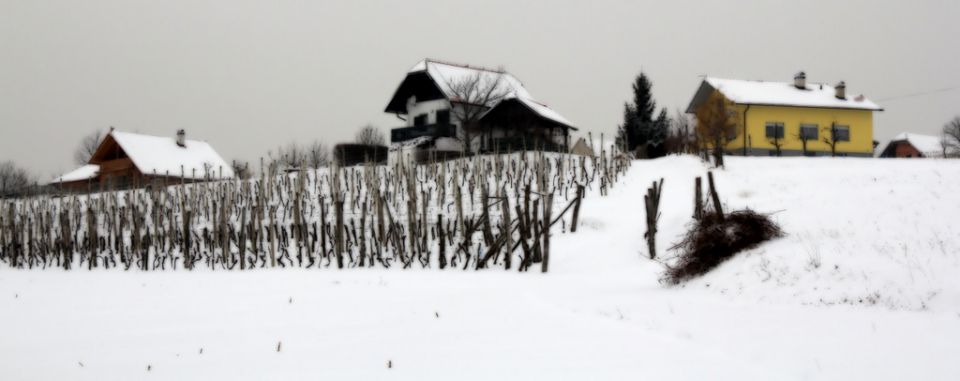 20120212 Valentinov pohod - foto povečava