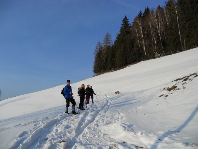 20120219 Košenjak - foto