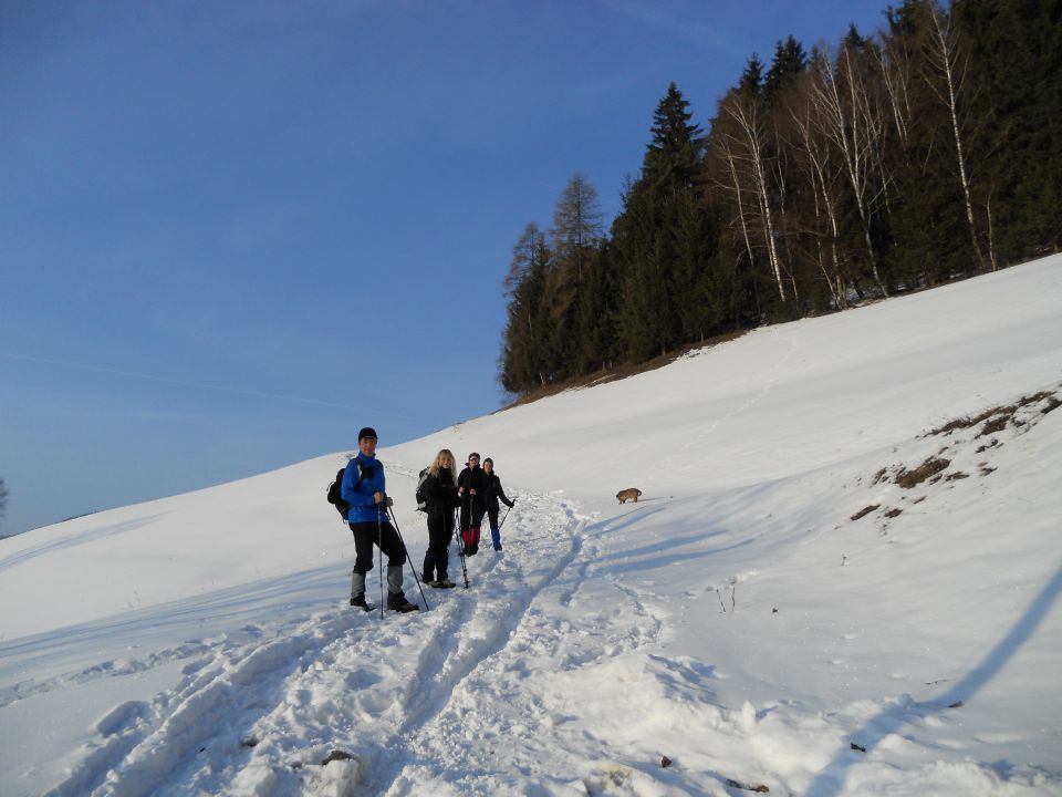 20120219 Košenjak - foto povečava