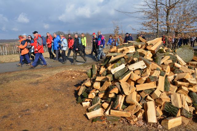 20120226 Memor. Avgusta Delavca-Hancov - foto