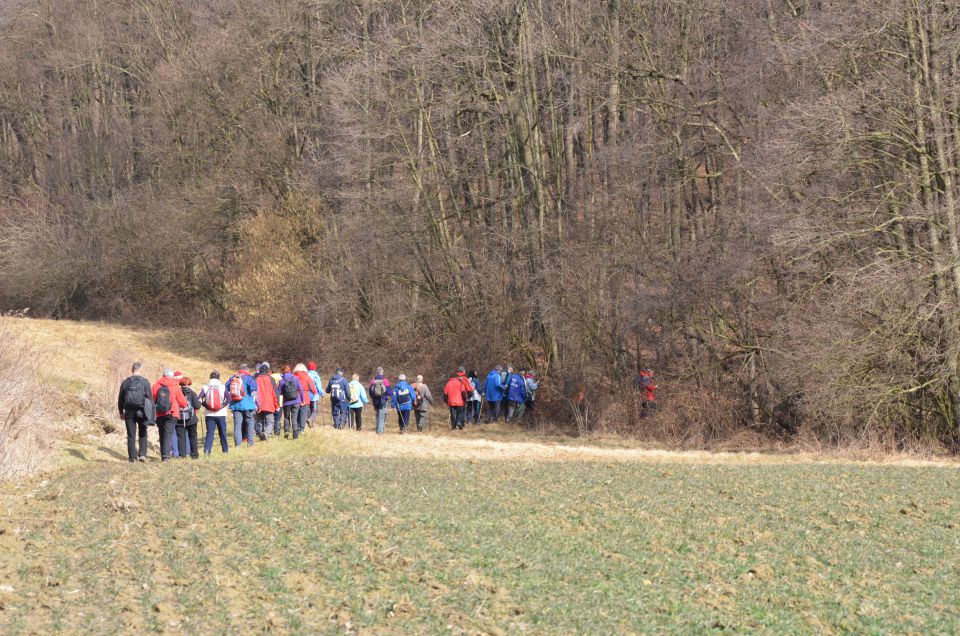 20120226 Memor. Avgusta Delavca-Hancov - foto povečava