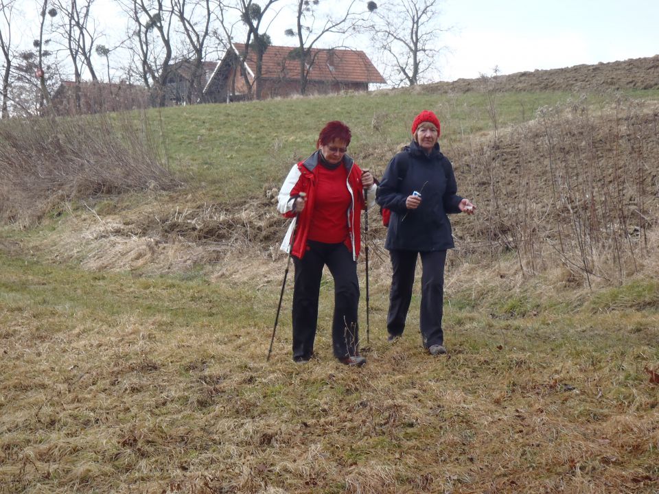 20120226 Memor. Avgusta Delavca-Hancov - foto povečava