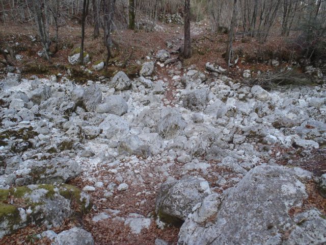 20120308 Potepanje po Gorenjski - foto