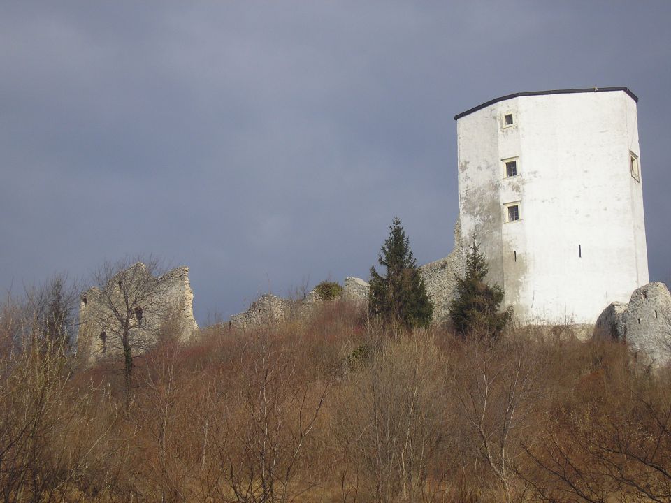 20120311 Po Konjiški gori - foto povečava