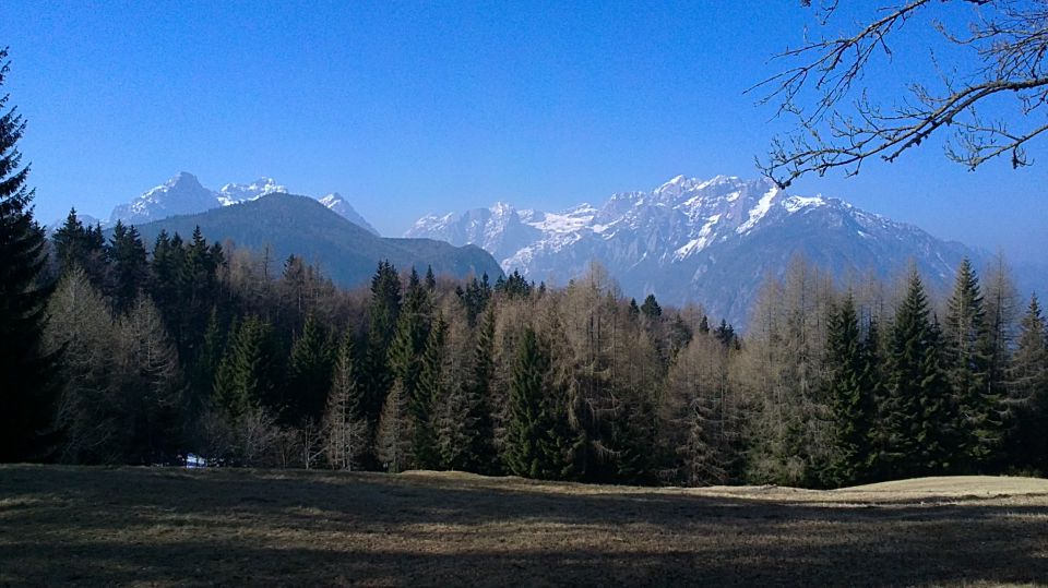 20120317 Rožca-Hruški vrh in planina - foto povečava