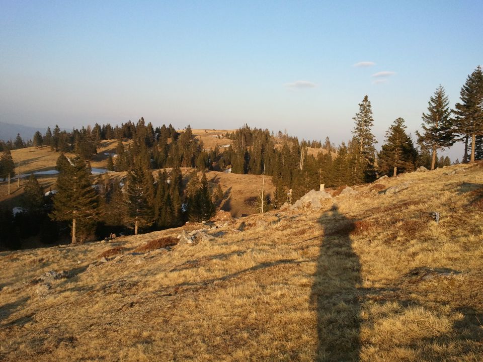 20120323 Mala, Velika in Gojška planina - foto povečava