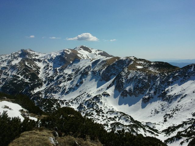 20120328 Vogel in Šija - foto