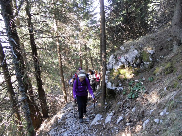 20120331 Vel.pl.-Konj-Lučki d.-Kamn.Bistrica - foto