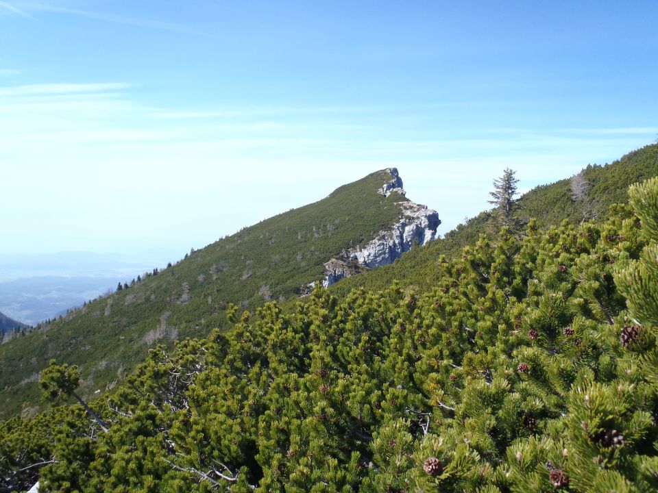 20120331 Vel.pl.-Konj-Lučki d.-Kamn.Bistrica - foto povečava