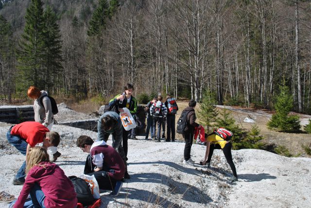 20120331 Tamar - OŠ - Bogojina - foto