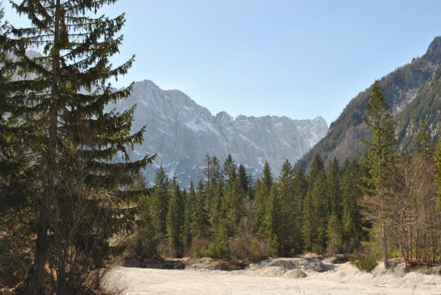 20120331 Tamar - OŠ - Bogojina - foto