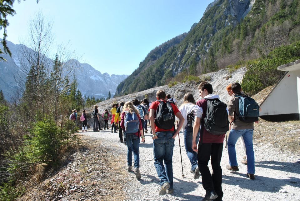 20120331 Tamar - OŠ - Bogojina - foto povečava