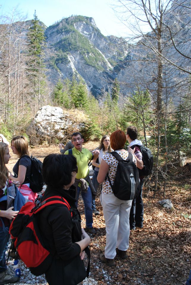 20120331 Tamar - OŠ - Bogojina - foto povečava