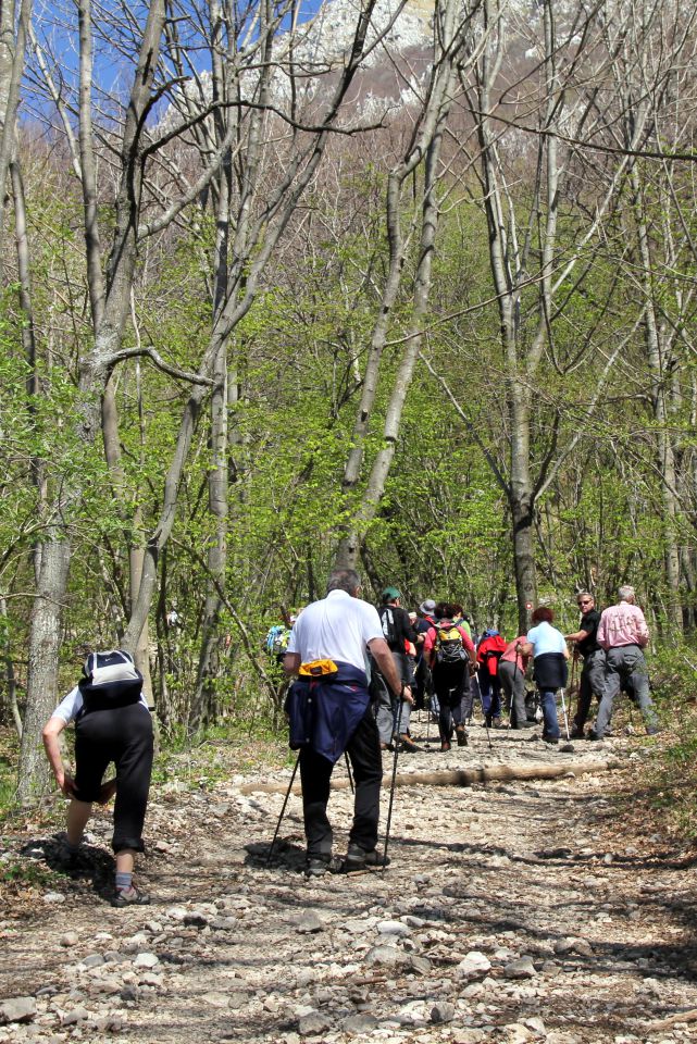 20120427 Nanos - foto povečava