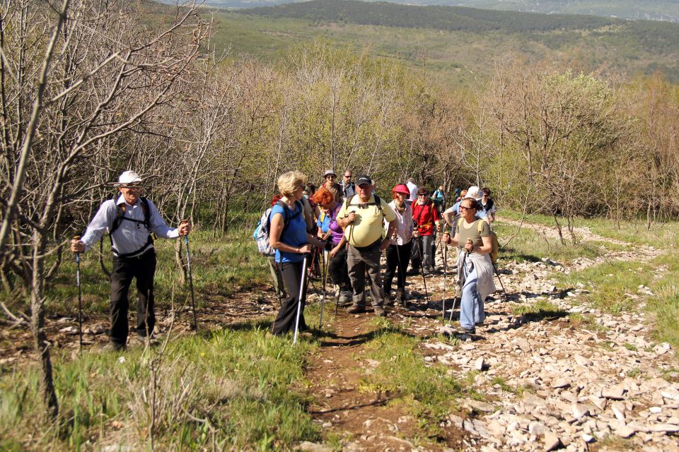 20120428 Slavnik - foto povečava