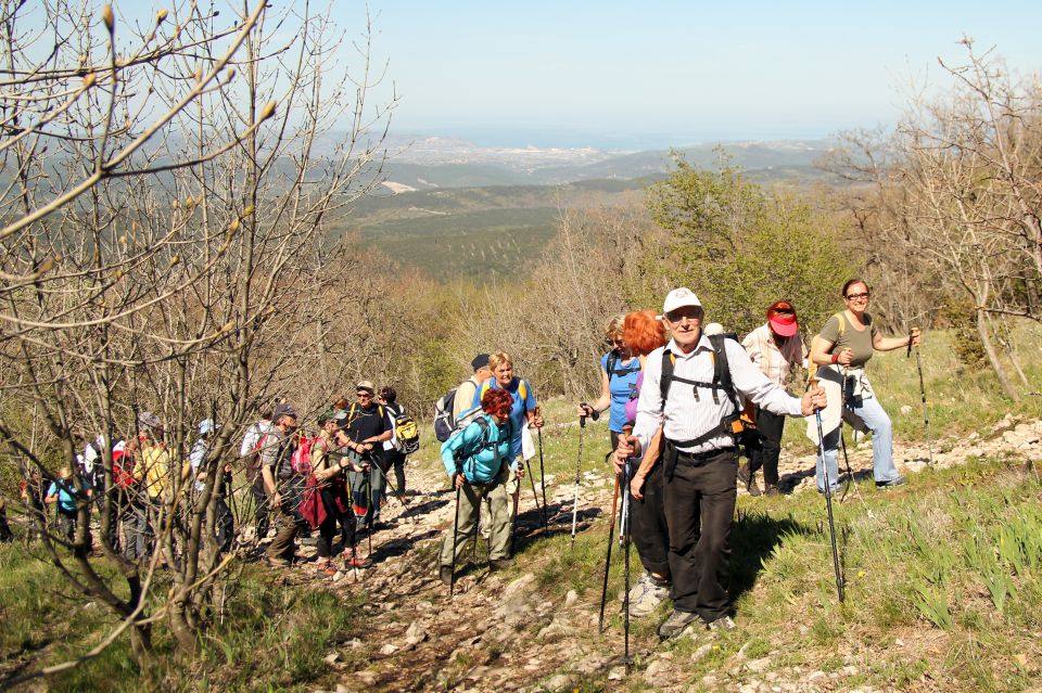 20120428 Slavnik - foto povečava