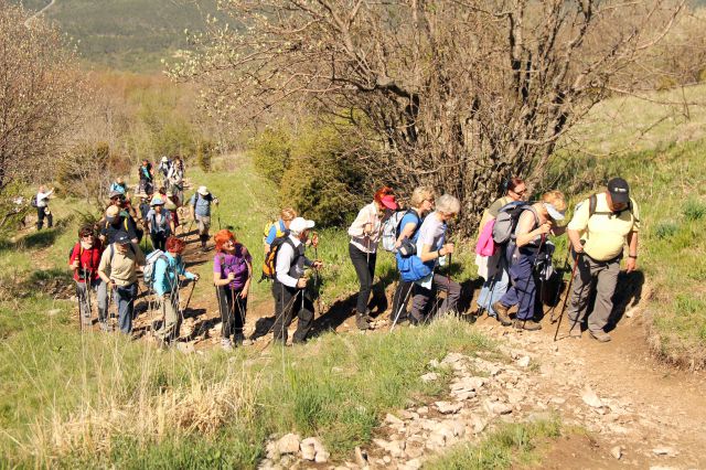 20120428 Slavnik - foto