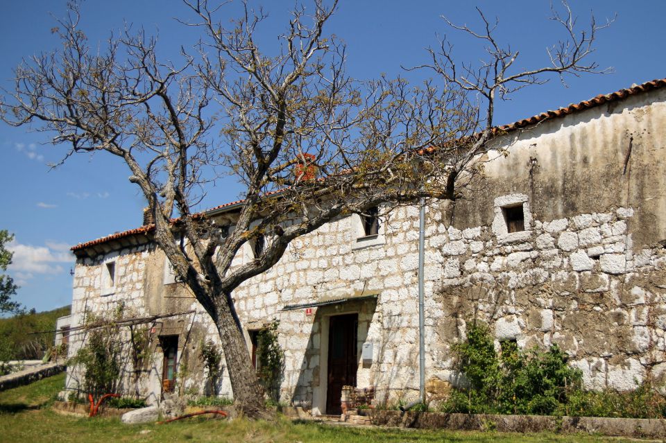 20120428 Slavnik - foto povečava