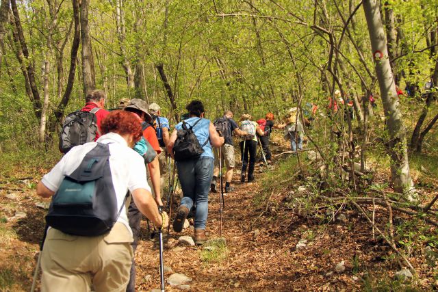 20120429 Vremščica in Predjamski grad - foto