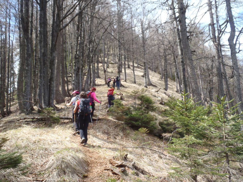 20120501 Stegovnik - foto povečava