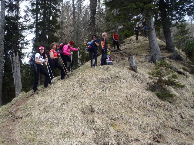 20120501 Stegovnik - foto