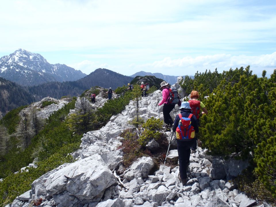 20120501 Stegovnik - foto povečava