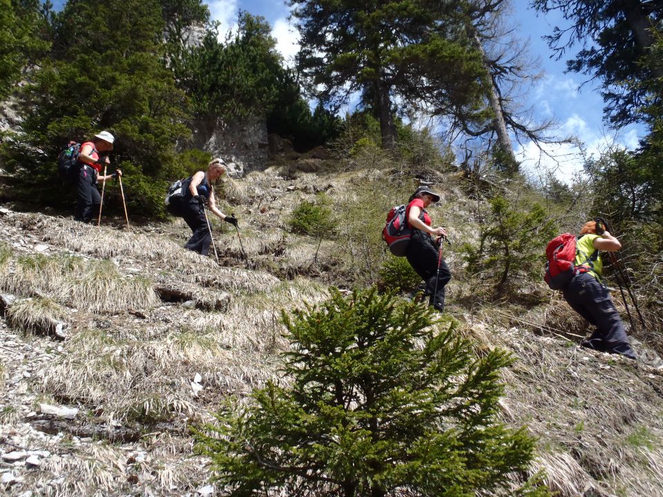 20120501 Stegovnik - foto povečava