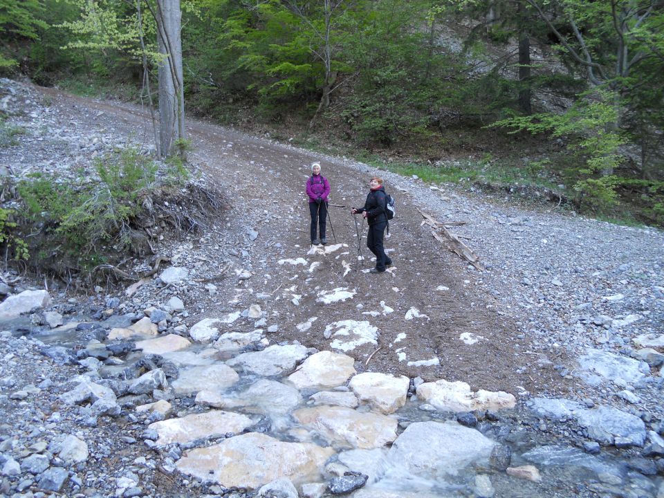 20120518 Košutica->ljubeljska baba,Grmada - foto povečava