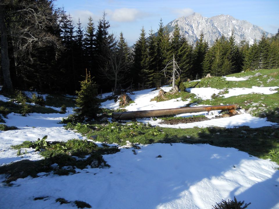 20120518 Košutica->ljubeljska baba,Grmada - foto povečava