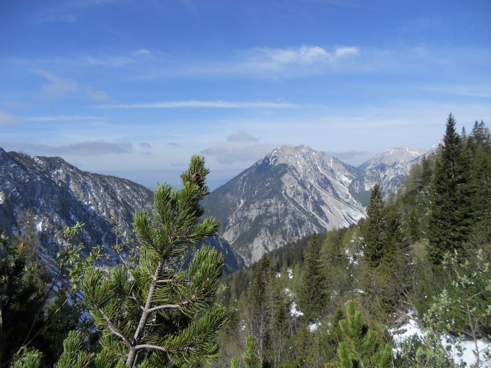 20120518 Košutica->ljubeljska baba,Grmada - foto povečava