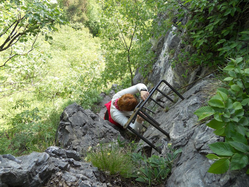 20120518 Košutica->ljubeljska baba,Grmada - foto povečava