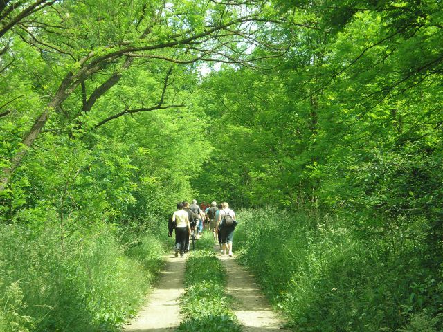 20120526 Pohod divjih lilij 2012 - foto