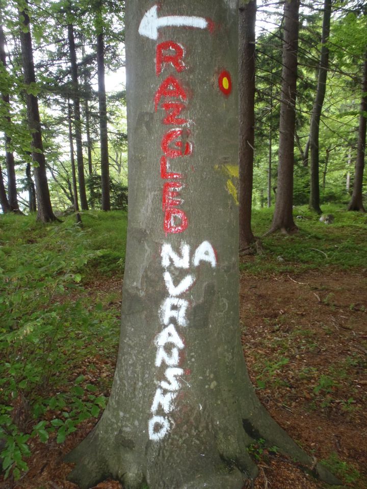 20120603 Gonžarjeva peč in Čreta nad Vranskim - foto povečava