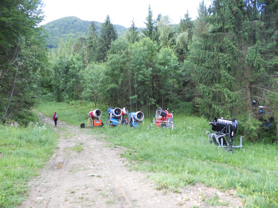 20120613 Peca-Lavamünd-Gonžarjeva peč - foto povečava