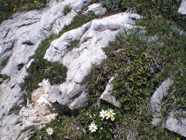 20120617 Dobrač - foto