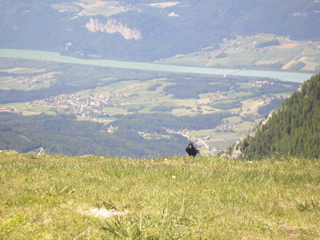 20120617 Lawamünd in Obir - foto