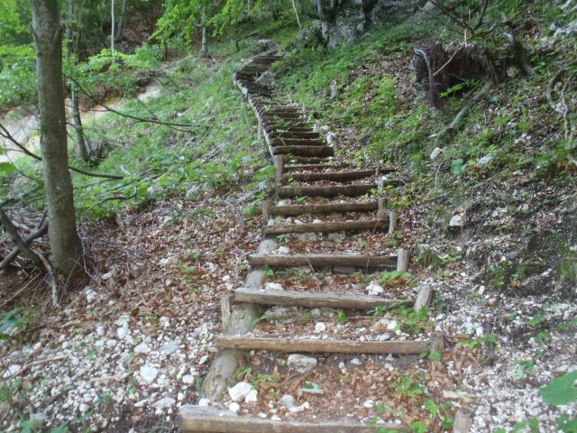 Po krajši poti skozi gozd na stopnice.