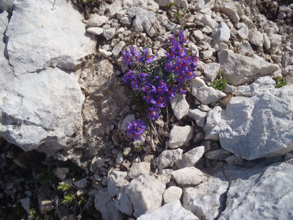 20120624 Tominšek,Stanič,Vrbanove,Za cmirom - foto povečava